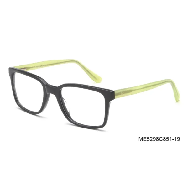 ME 5298 - Image 9